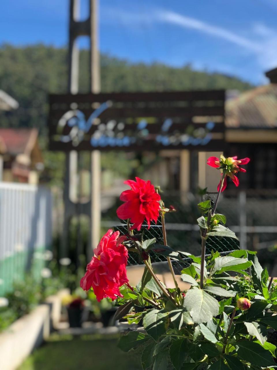 Viblak Heritage Hotel Nuwara Eliya Exteriér fotografie
